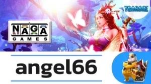 angel66