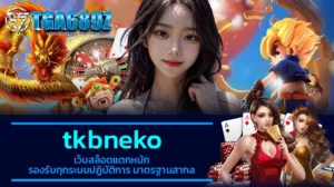 TGA689z tkbneko เว็บสล็อตแตกหนัก รองรับทุกระบบปฏิบัติการ มาตรฐานสากล